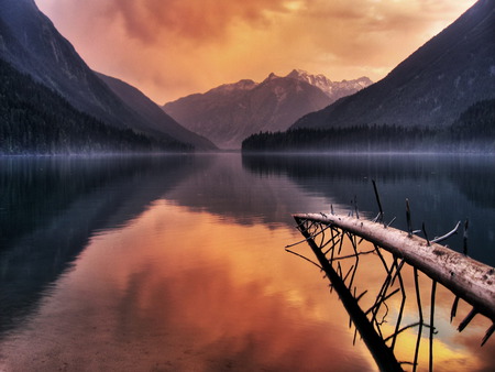 Dead tree - mountains, sky, lake, sunset