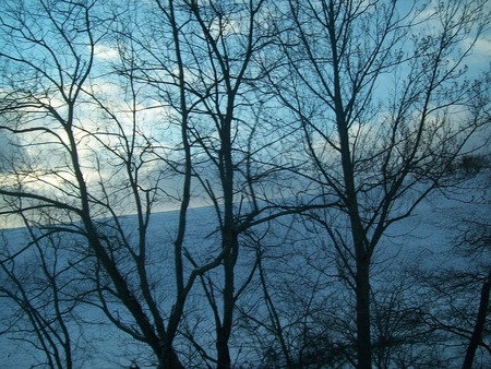 Virginia Winter  - virginia, trees, winter, sky