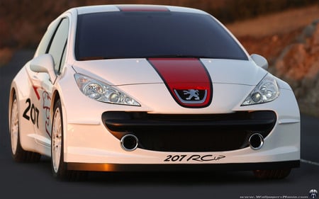 Peugeot 207 RC Cup - european, cars, concepts