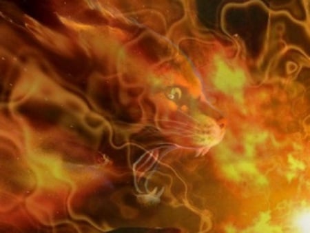 Fiery War - cats, warriors, animals, fire