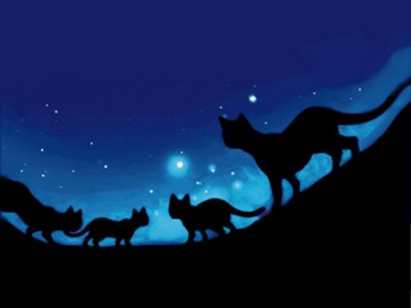 The Night Journey - night, warriors, animals, cats