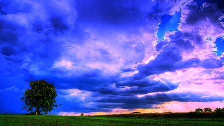 The Green And Blue Day - clouds, trees, blue, green, grass, field, light, sky