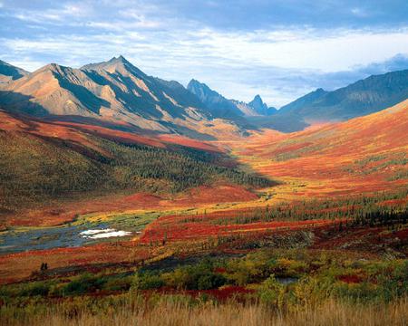 Flowers Valley Mountains - majesty, amazing, beautiful, photoshop, sunrise, colors, flowers, wonderful, sunset, awesome, nice, mountains, art, sky