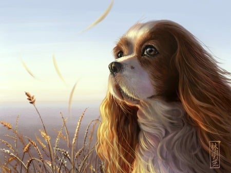 Autumn Breeze - plantation, amazing, leaves, wheat, dogs, seasons, nice, art, sun, breeze, beautiful, photoshop, spartina, colors, cool, wonderful, sunset, awesome, autumn, painting, pictures, animals