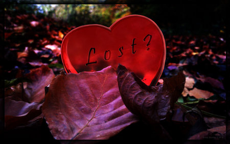 Lost - red, valentine