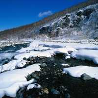 Winter Landscape HD