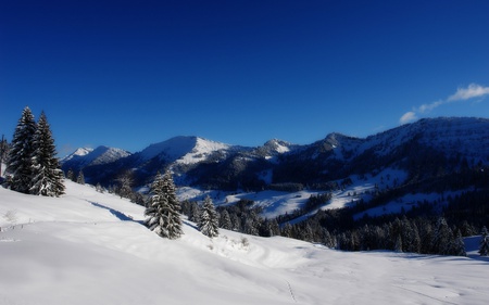 Blue Sky Caves - trees, caves, winter, snow, blue sky, landscape, skies, nature, mountains, sky