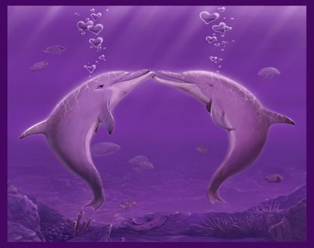 dolphins .jpg - water, friends, swim, natuer