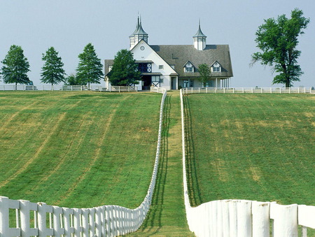 Lexington, Kentucky - cool, meadow, grass, road, scene