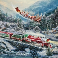 Christmas Light Express