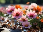 Colorful flowers in the garden