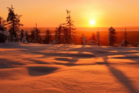 Winter sunset - beautiful, fiery, orange, sky, snow, sun, sunset, winter