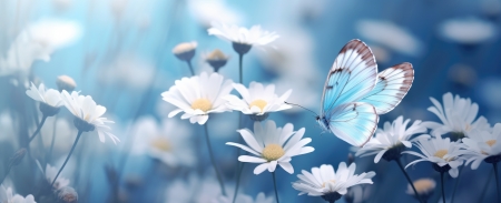 Chamomile - butterfly, chamomile, flowers, glade, summer