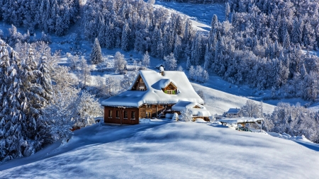 Cabin in Winter near Toggenburg, Switzerland