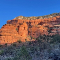 Frosty bushes and warm rocks in Boynton Canyon, Arizona