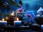 Burning Candles and orchids