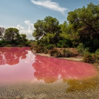 Pink Waters of Albufera, Spain