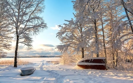 Winter Lake - boats, Latvia, winter, trees, lake