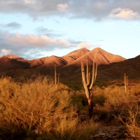 Sunset in Scottsdale, Arizona