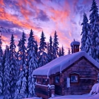 A snow-covered cabin in a snowy forest