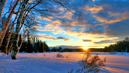 Winter Sunset, Quebec - clouds, ice, trees, canada, landscape, snow, colors, sky