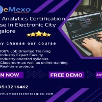 Data Analytics Certification Course In Electronic City Bangalore