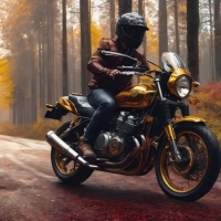 Maroon And Gold Motorcycle