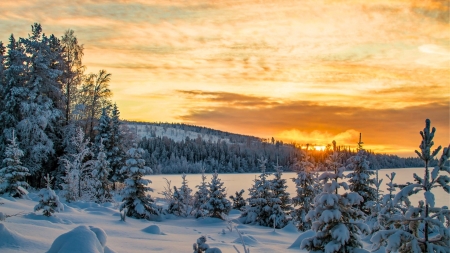 Winter Sunset in Sweden - clouds, trees, hills, landscape, snow, colors, sky