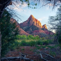 The Watchman, Zion National Park, Utah