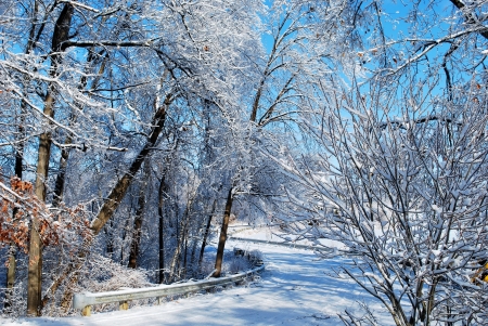 Winter forest - Winter, Snow, Frost, Road