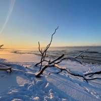 Winter Sunset