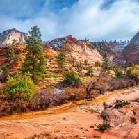 Zion NP, Utah