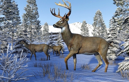 deer