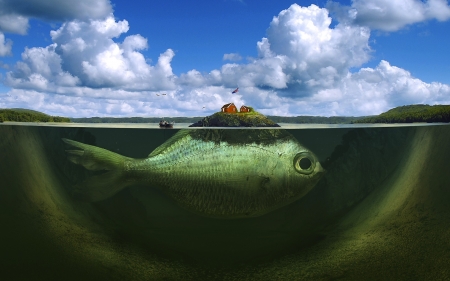Fish Island - fantasy, fish, island, lake