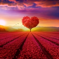 Heart Tree Landscape