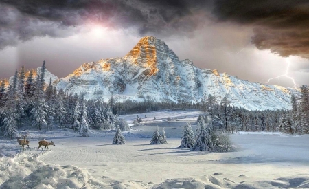 Breathtaking Winter Landscape