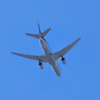 Plane Overhead