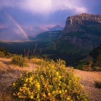 Drama unfolds at sunset over Logan Pass in Glacier National Park, Montana