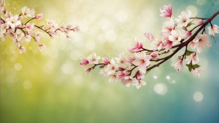 :) - neuroset, sakura, green, spring, flower, pink, texture