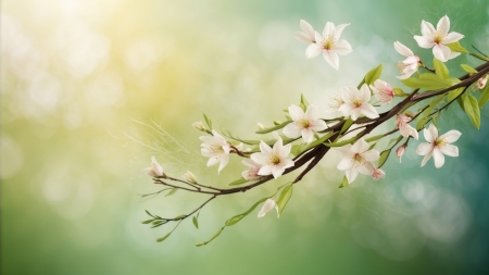 :) - flower, green, neuroset, spring, texture