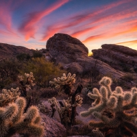 Winter desert skies in Saguaro National Park, Arizona