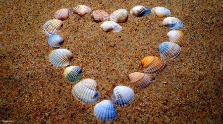 :) - beach, card, day, heart, shell, summer, valentine, vara