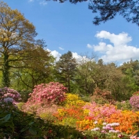 Ness Botanic Gardens, Cheshire, England