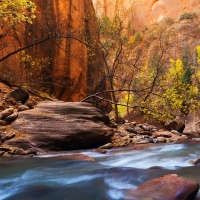 Autumn In The Zion NP, Utah