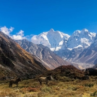 Kanchenjunga Trek Guide