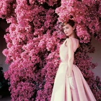 Audrey Hepburn