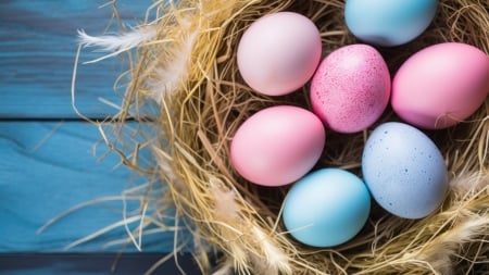 Happy Easter! - card, pink, easter, nest, blue, wood, egg