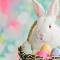 Easter bunny