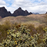 Thimble Peak, Catalina Mountains, Tucson, Arizona