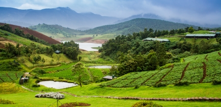 Discover outstanding tour packages available for exploring Ooty - ooty, ooty packages, ooty trip, ooty view